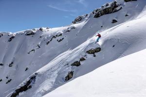 576058_427780060649780_2071705017_n