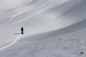 IMG_2386_reworked_small