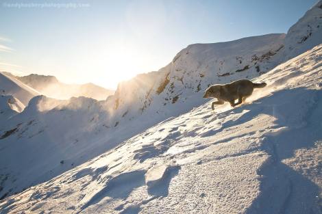 10991563_937294069637437_1055141160812360770_o