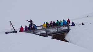 like birds on wire wire