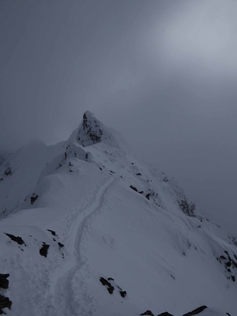 P1040649_rew_2_small